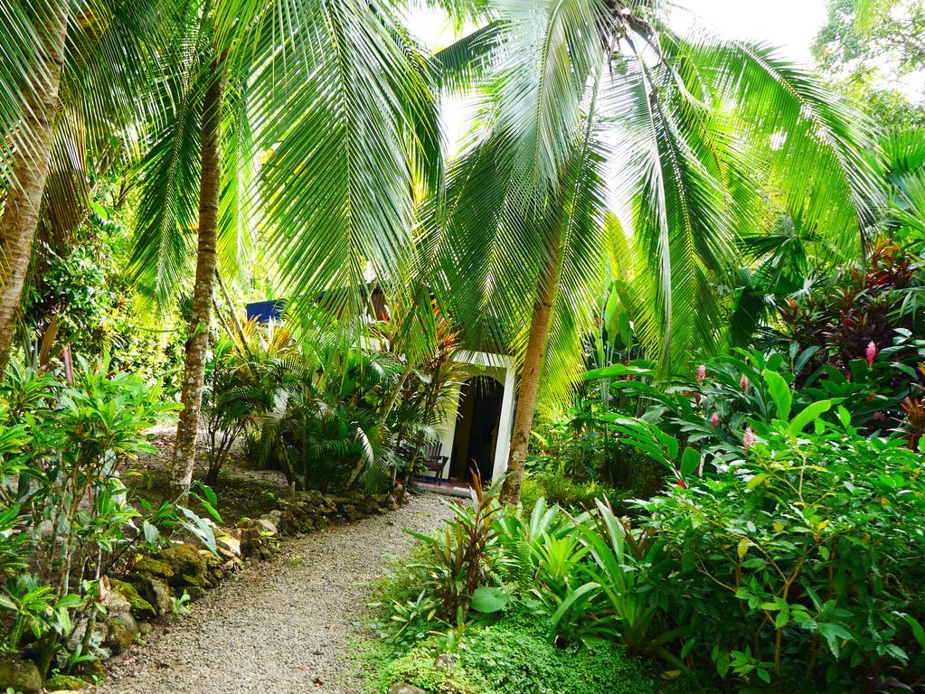 Cabinas Tito Cahuita Zimmer foto